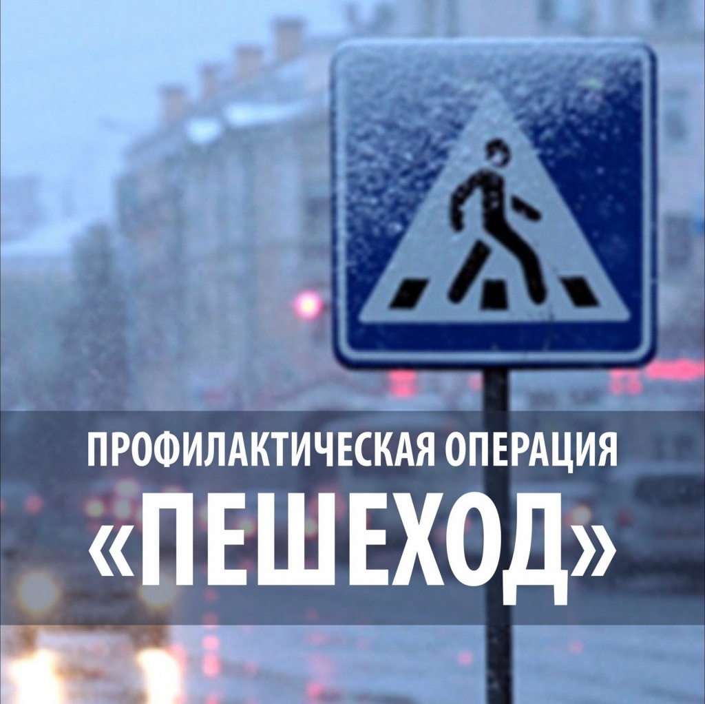 «Пешеход!».